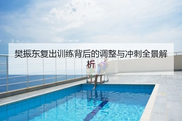 樊振东复出训练背后的调整与冲刺全景解析