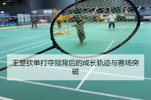 王楚钦单打夺冠背后的成长轨迹与赛场突破