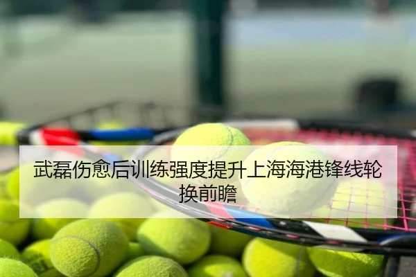 武磊伤愈后训练强度提升上海海港锋线轮换前瞻